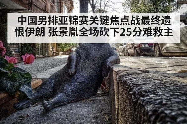 中国男排亚锦赛关键焦点战最终遗恨伊朗 张景胤全场砍下25分难救主